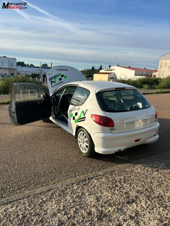 Peugeot 206 xs