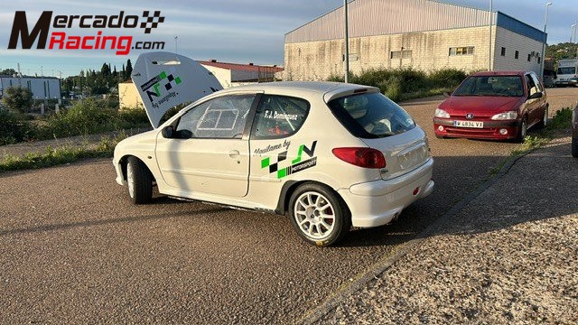 Peugeot 206 xs