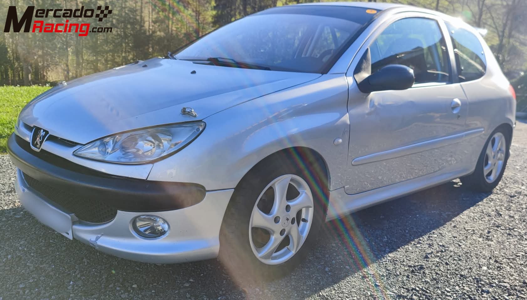 Peugeot 206 xs 1.6 16v 110cv circuito