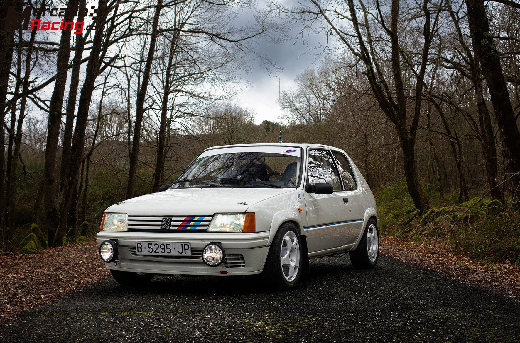 Peugeot 205 rally