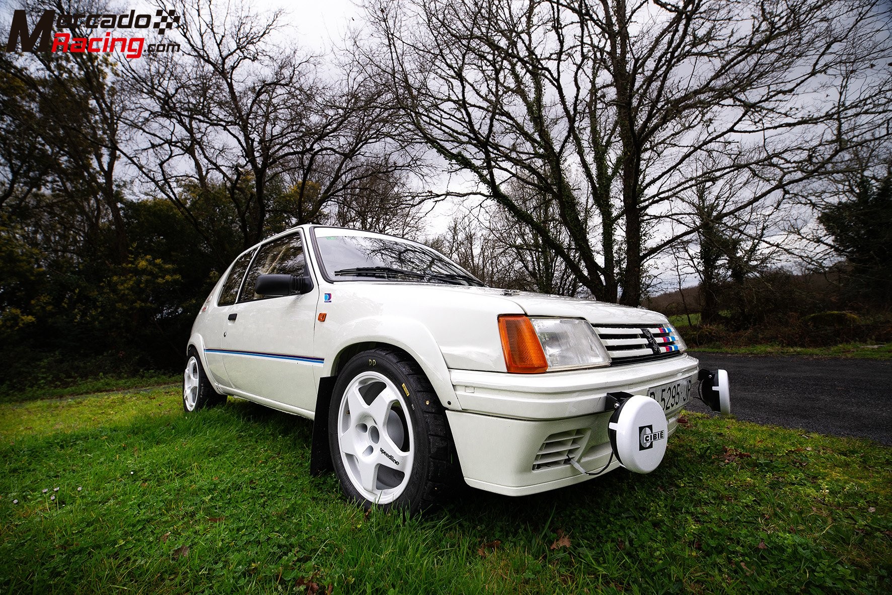 Peugeot 205 rally