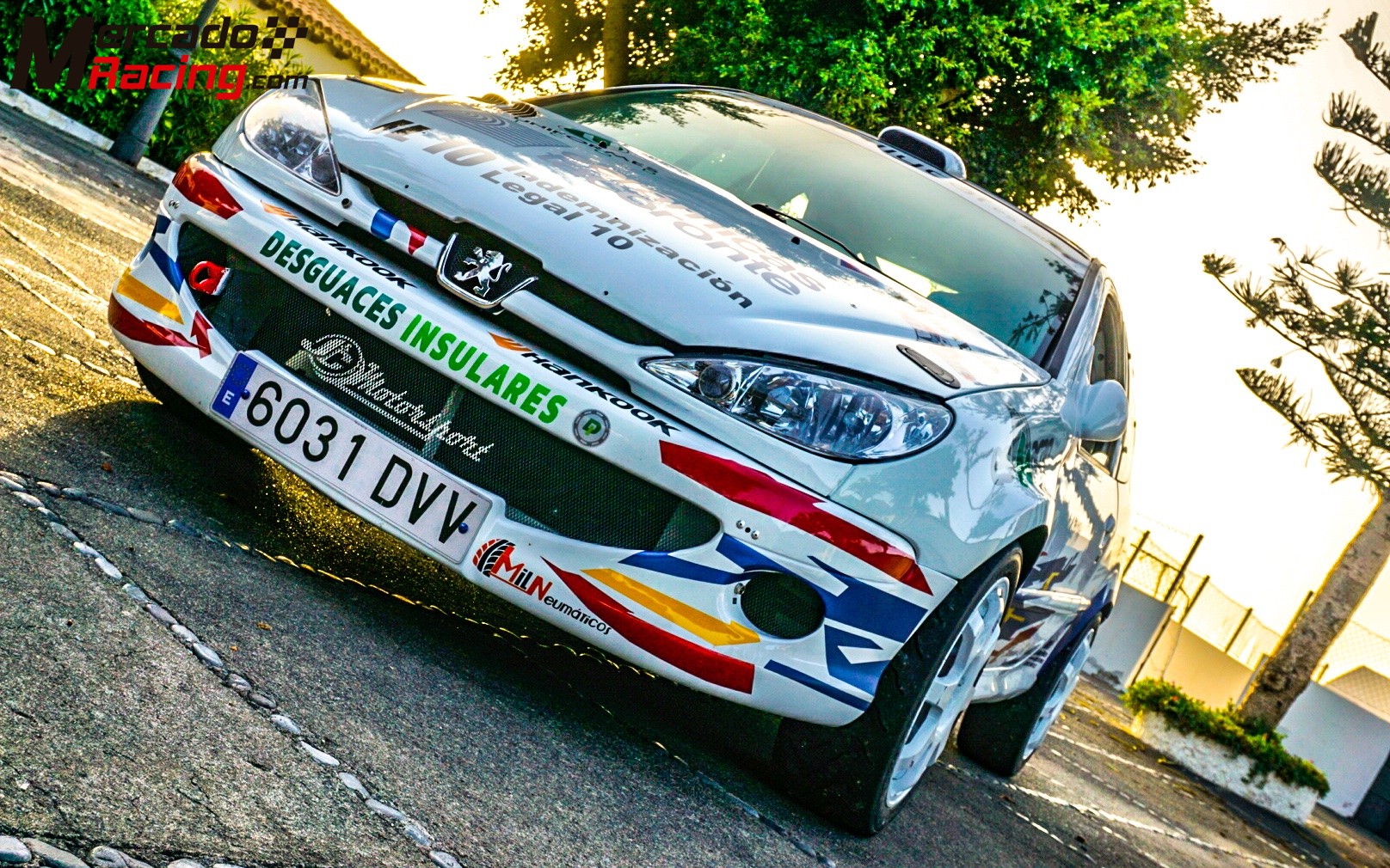 Peugeot 206 rc