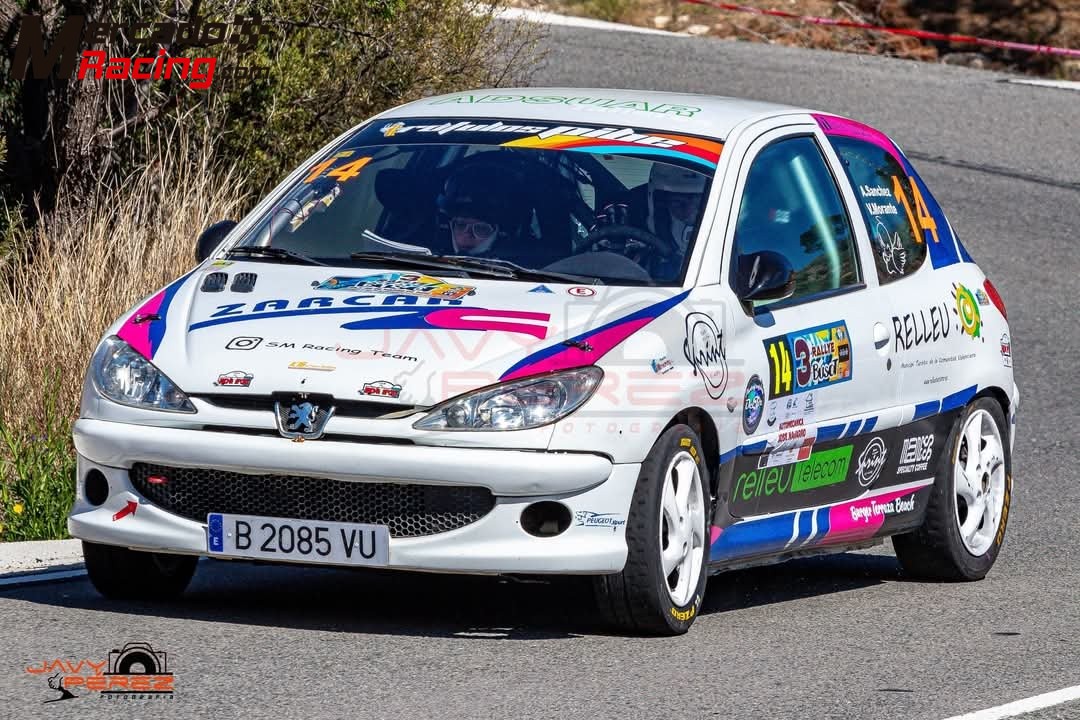 Peugeot 206 1.6 16v rally