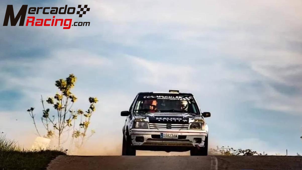 Peugeot 205 210cv