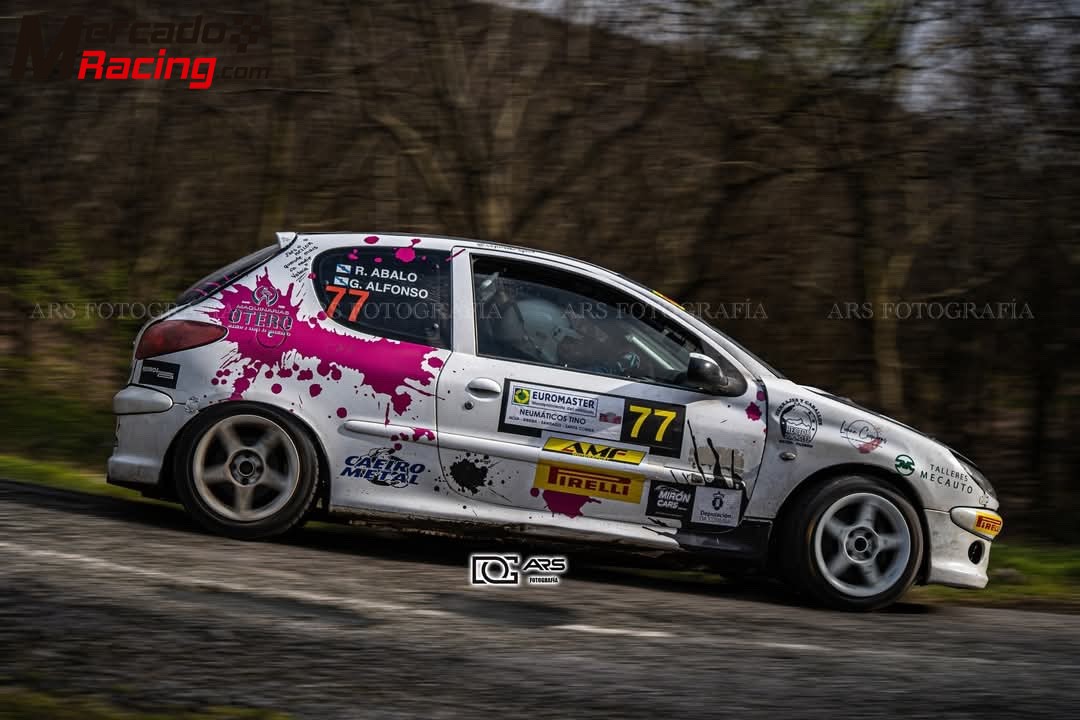 Peugeot 206 rally