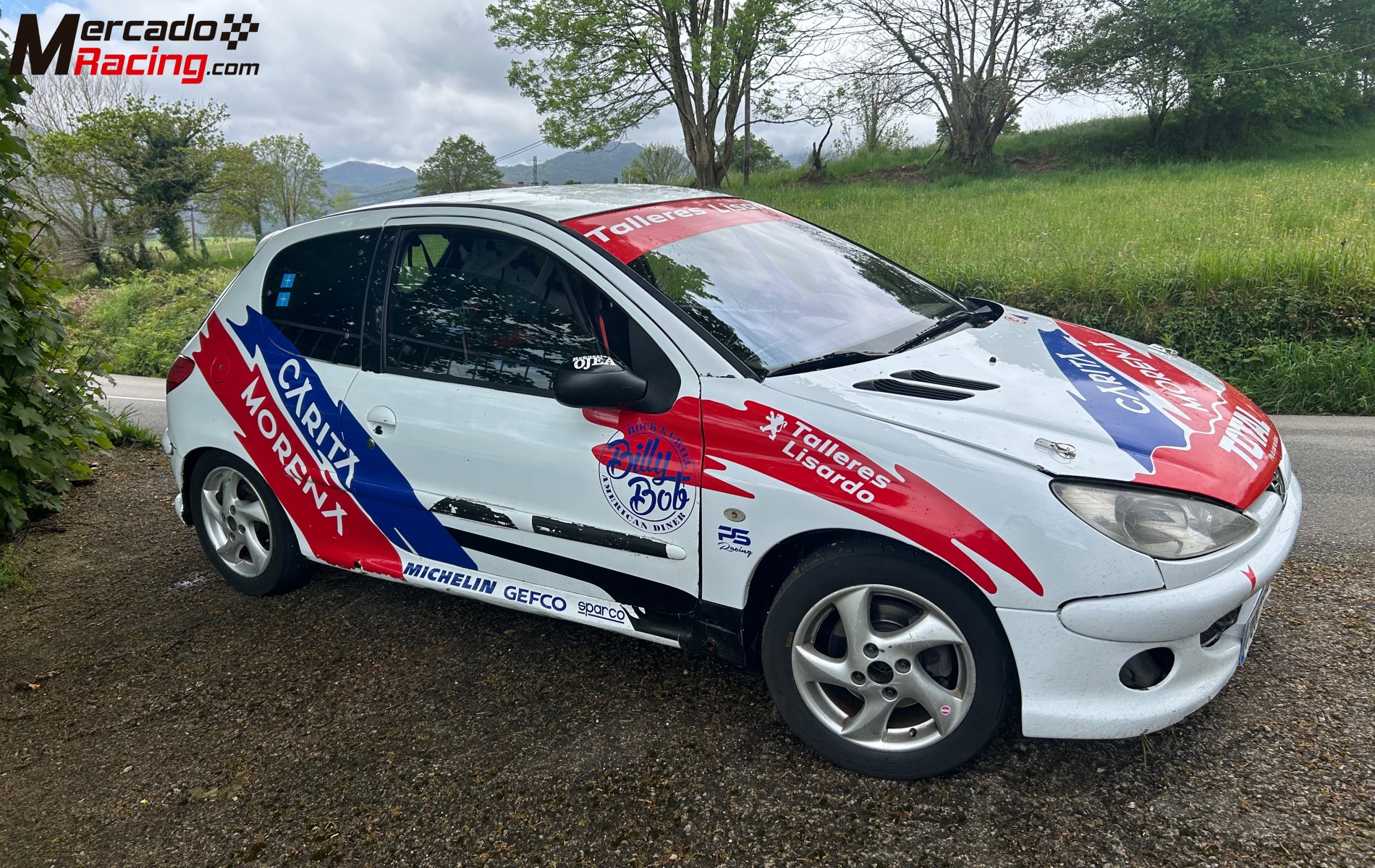 Peugeot 206 xs