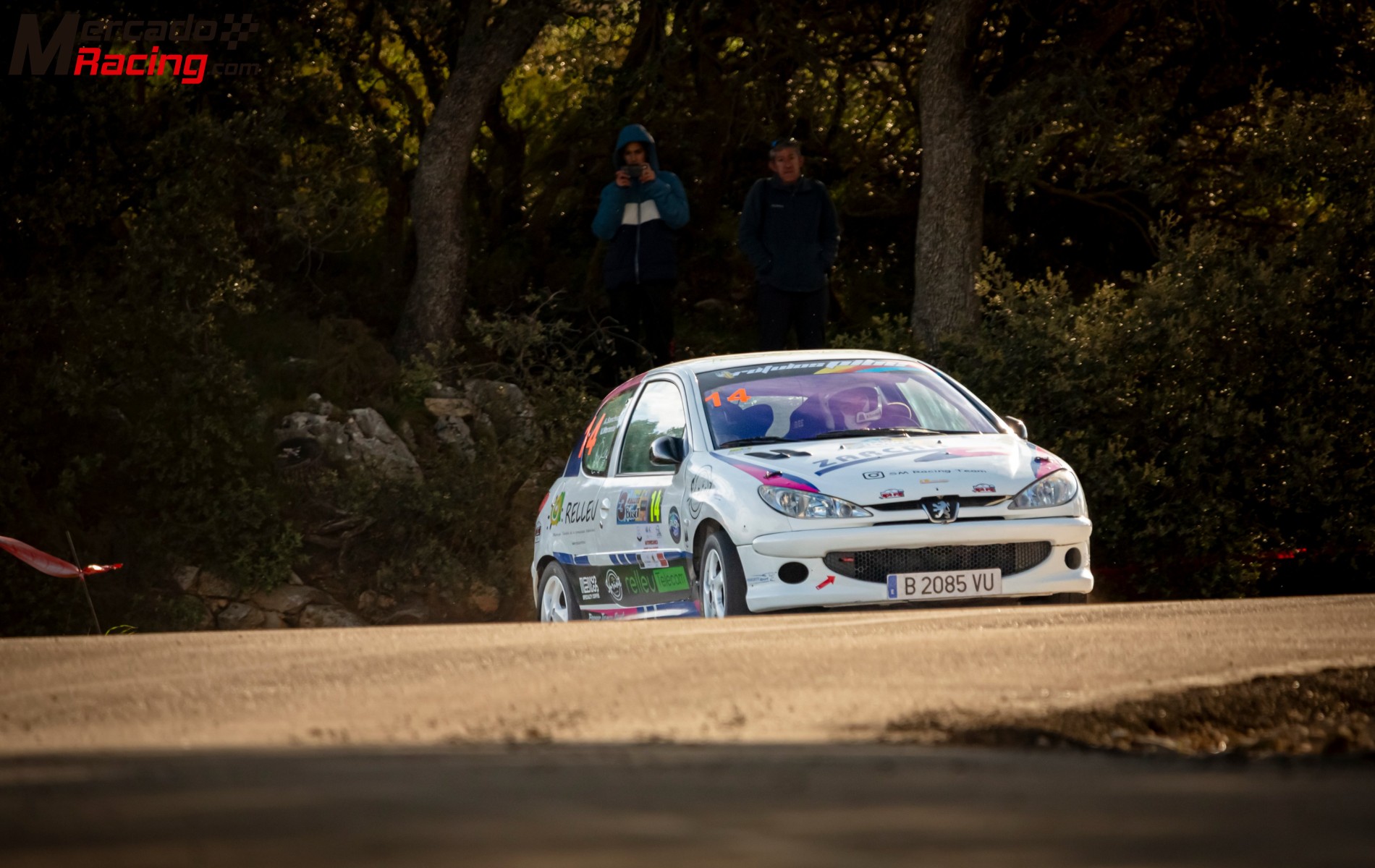 Peugeot 206 1.6 16v rally