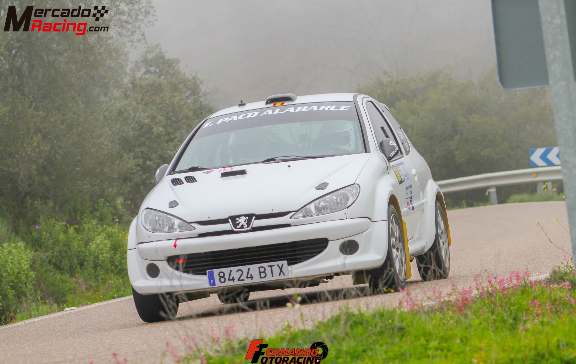 Peugeot 206 f2000