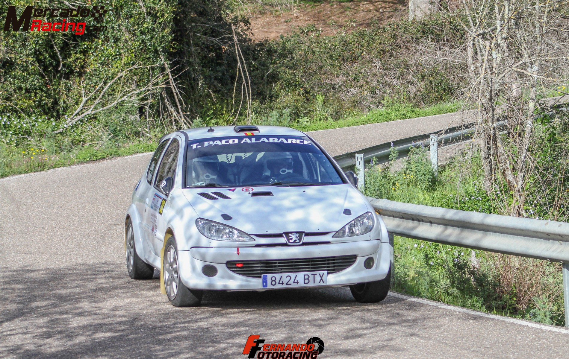 Peugeot 206 f2000