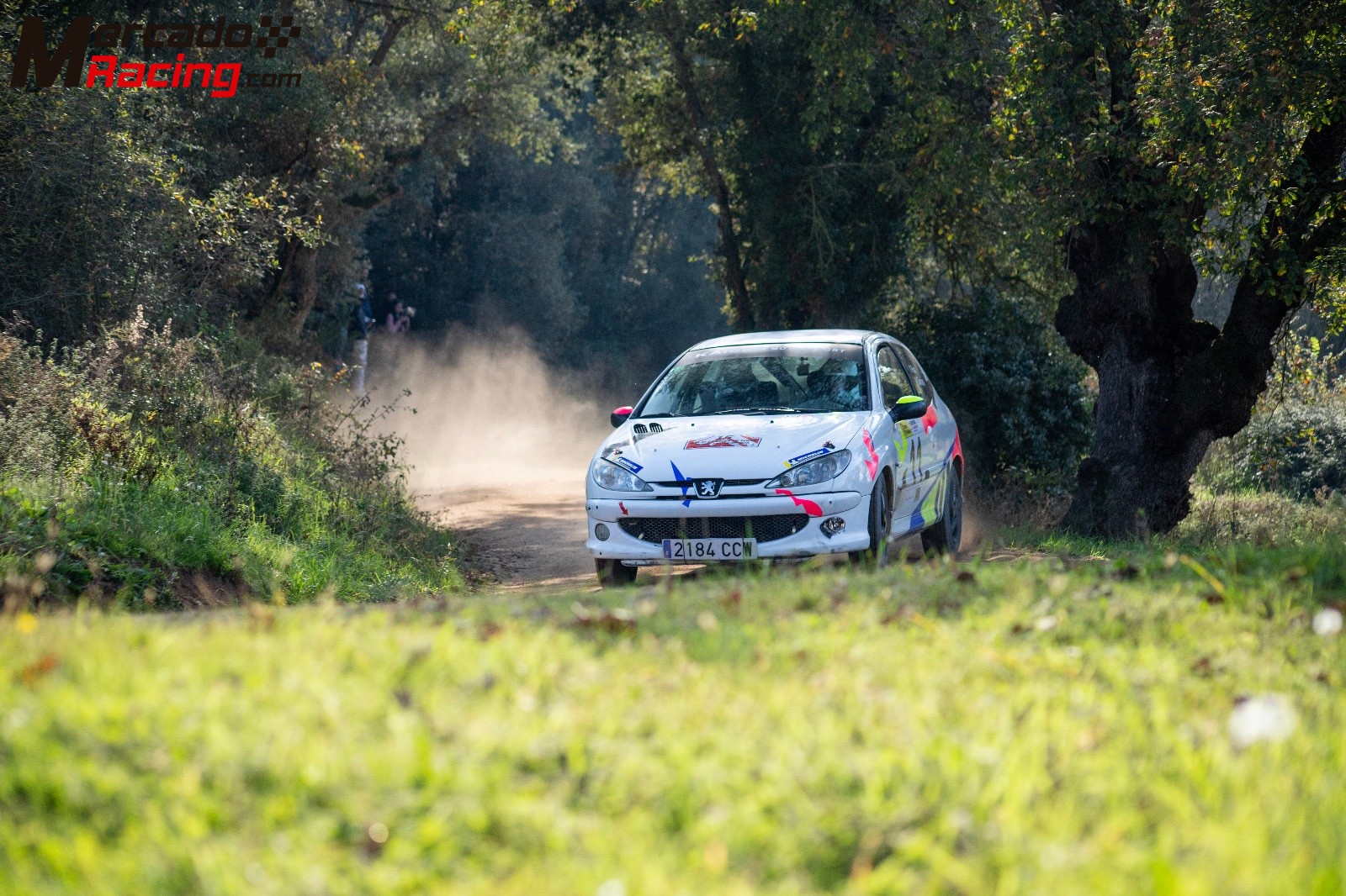 Peugeot 206 xs 1.6 subcampeón de cataluña 