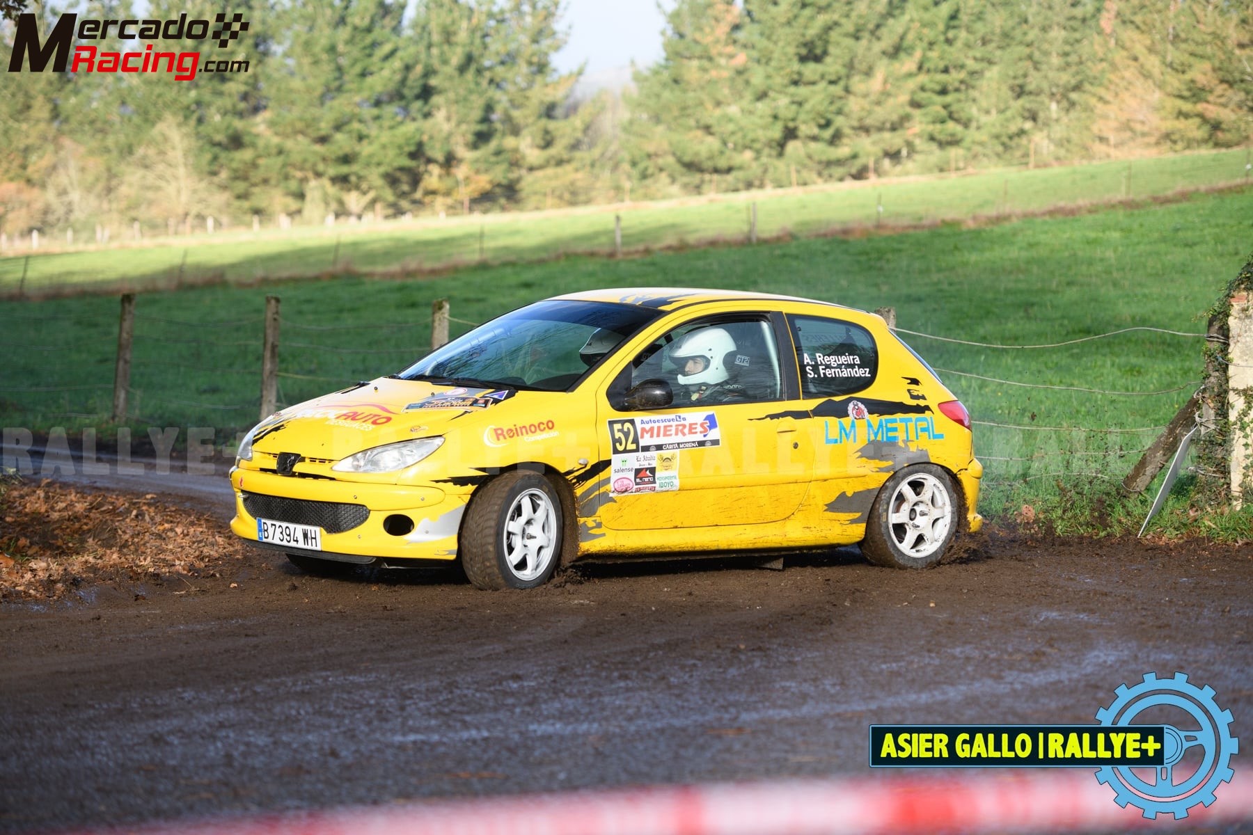 206 rc rallyes