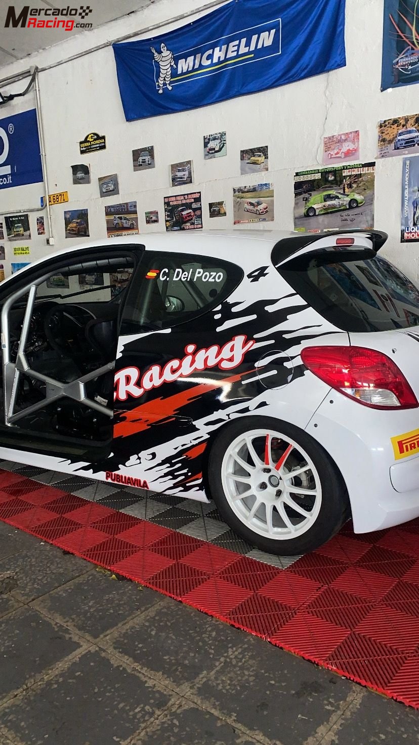 Peugeot 207 cup 240cv