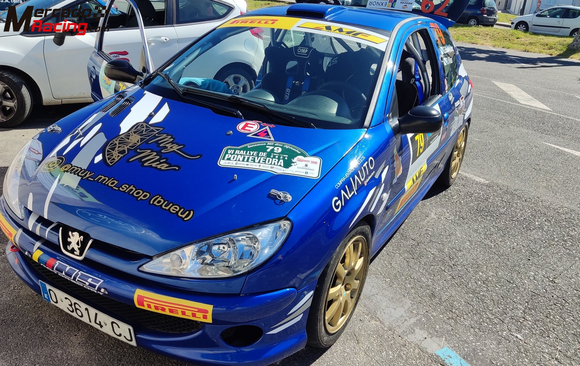 Peugeot 206 rc