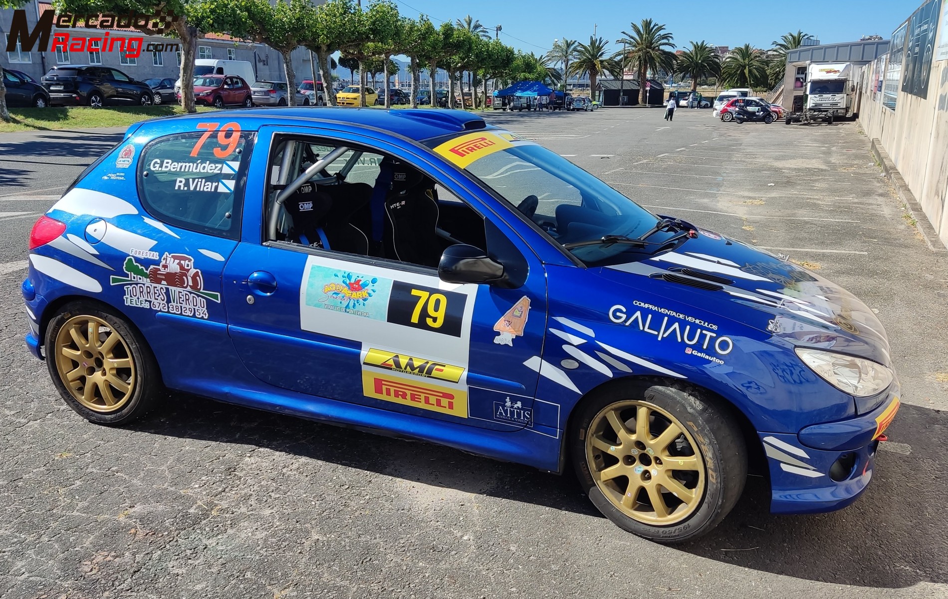 Peugeot 206 rc