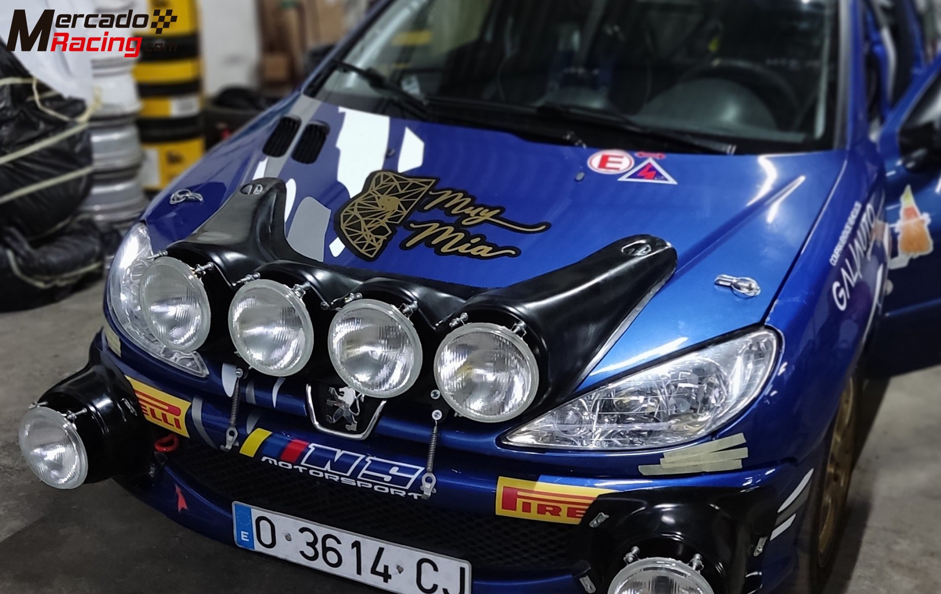 Peugeot 206 rc