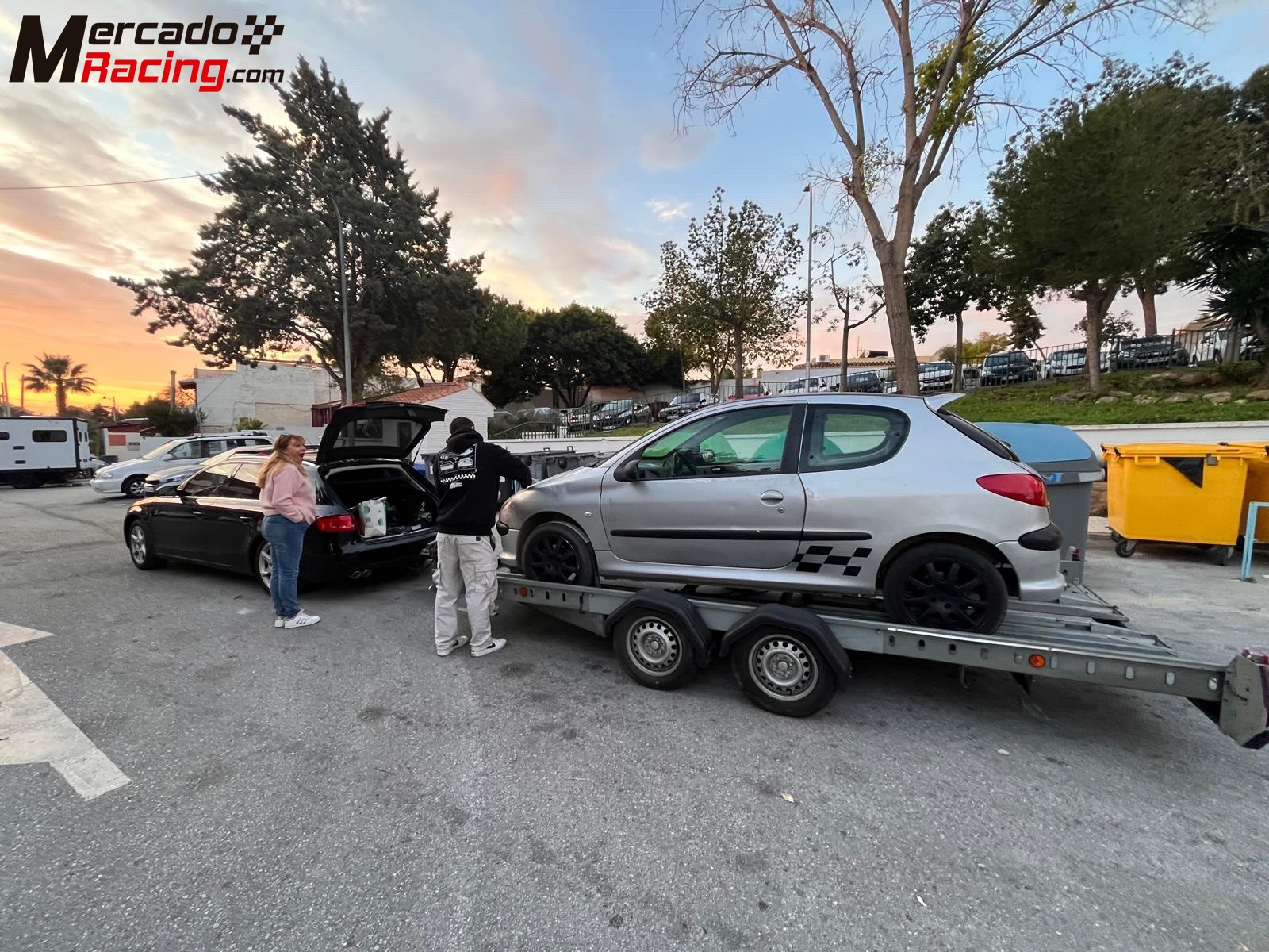 Proyecto 206gti rally
