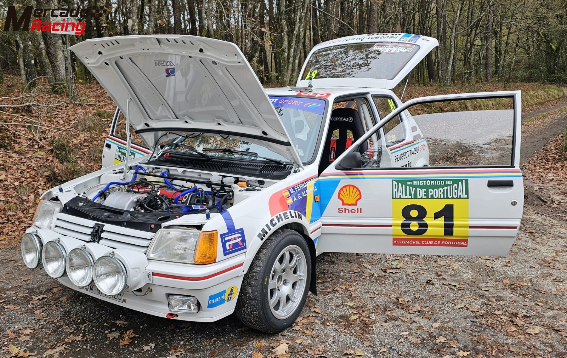 Peugeot 205 gti  fia 5325