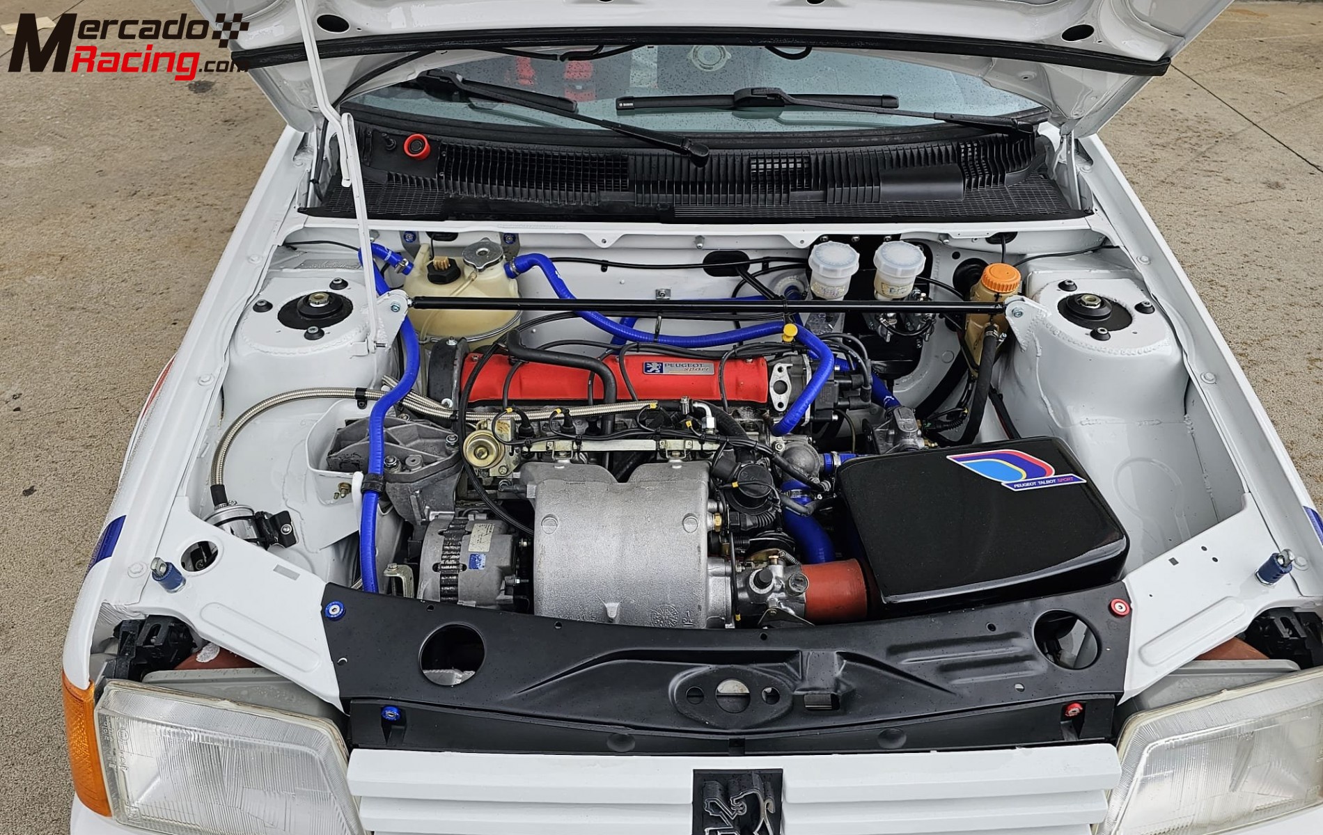 Peugeot 205 gti  fia 5325