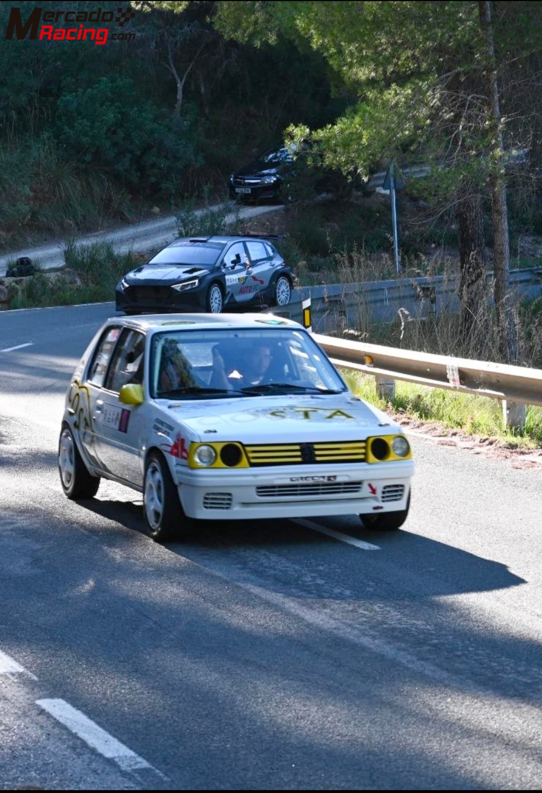205.rallye. 1.6 8v