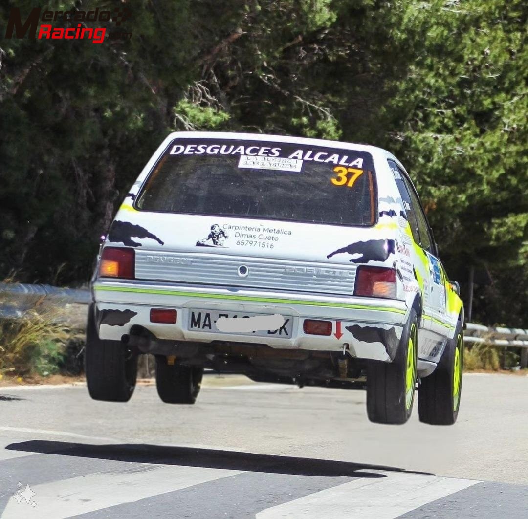 Peugeot 205 gti 1.6 de rally 
