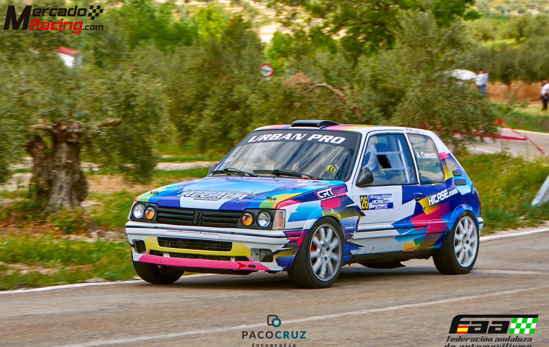 Peugeot 205 gti