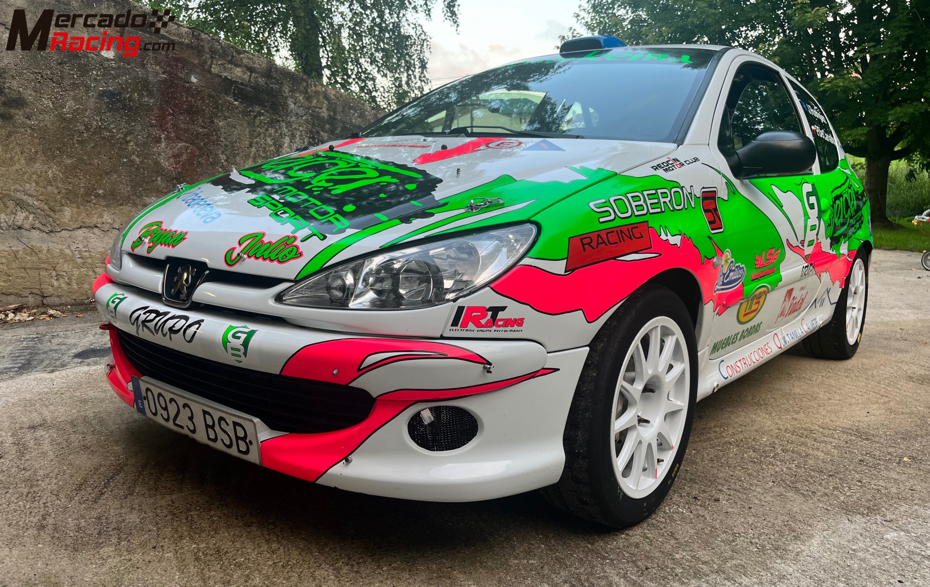 Peugeot 206 xs desafío francés 170 cv 