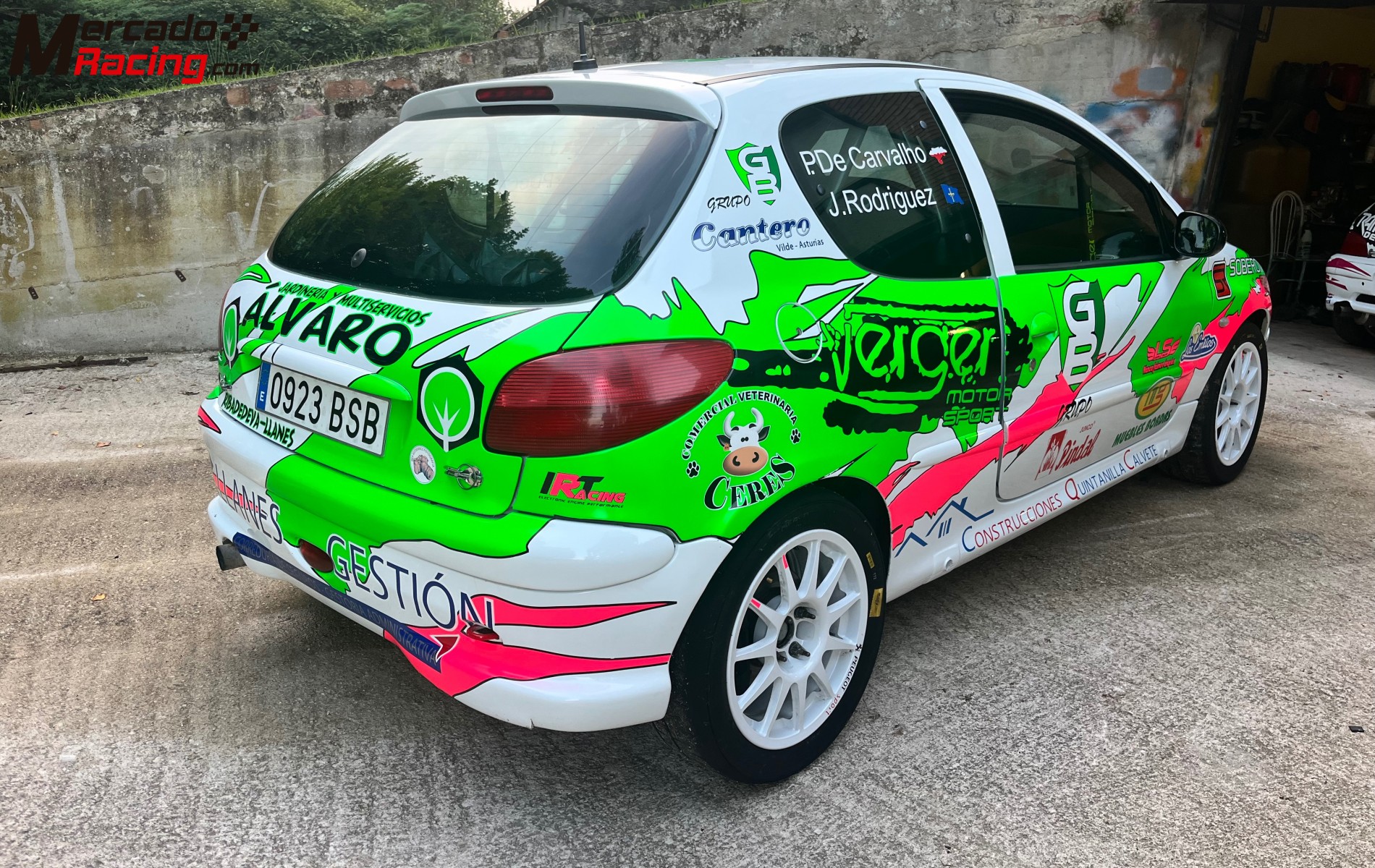 Peugeot 206 xs desafío francés 170 cv 