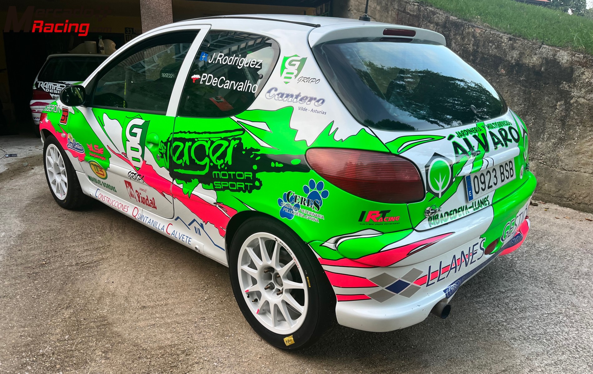 Peugeot 206 xs desafío francés 170 cv 