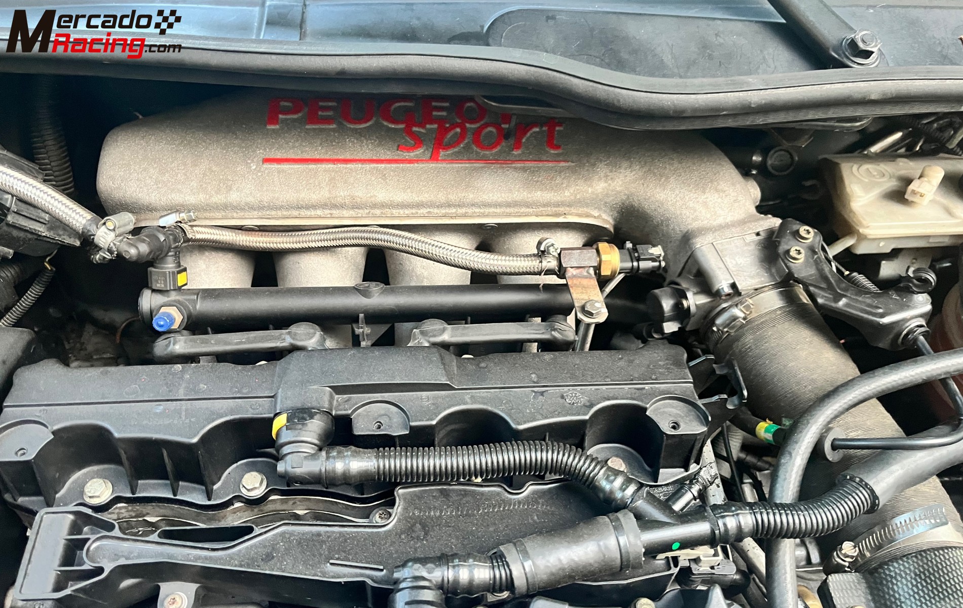 Peugeot 206 xs desafío francés 170 cv 