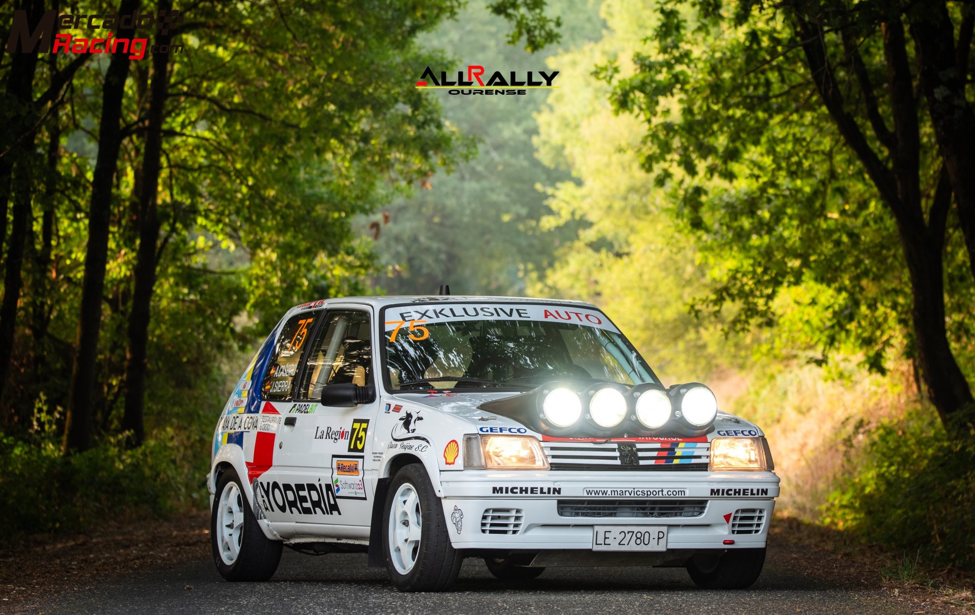 Peugeot 205 rally