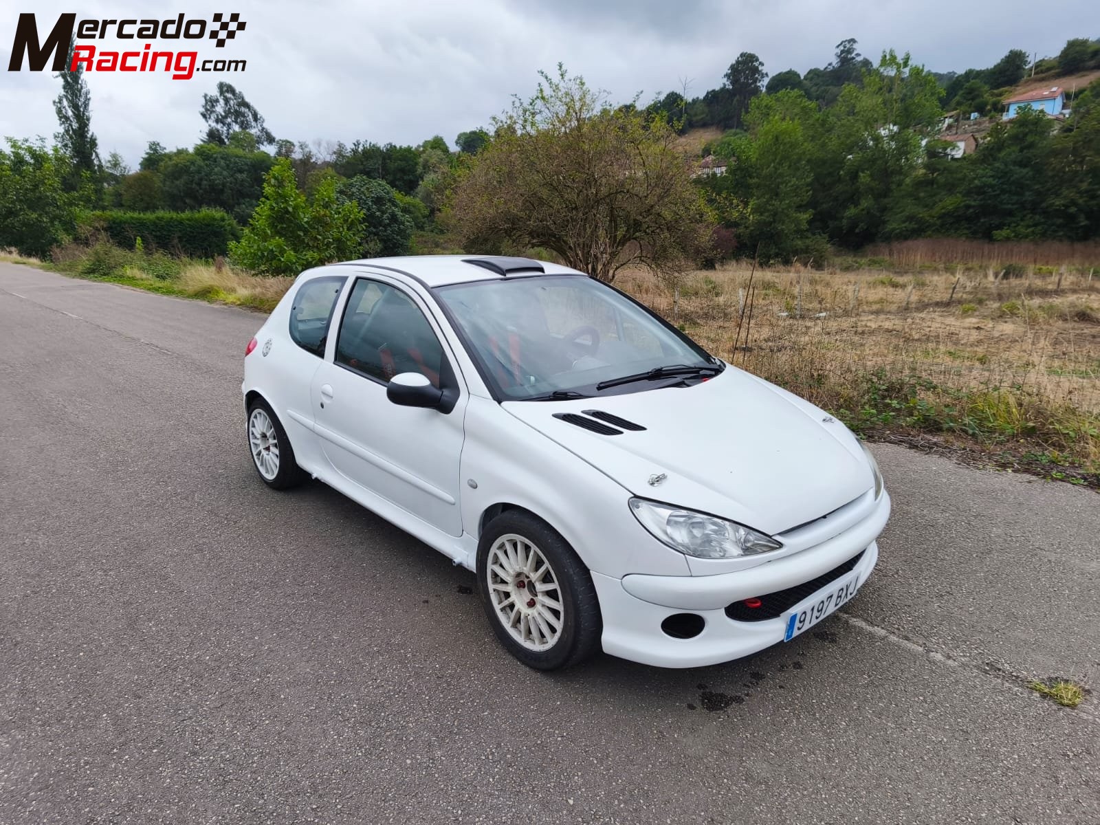 Peugeot 206 xs. (papillones 189 cv.)