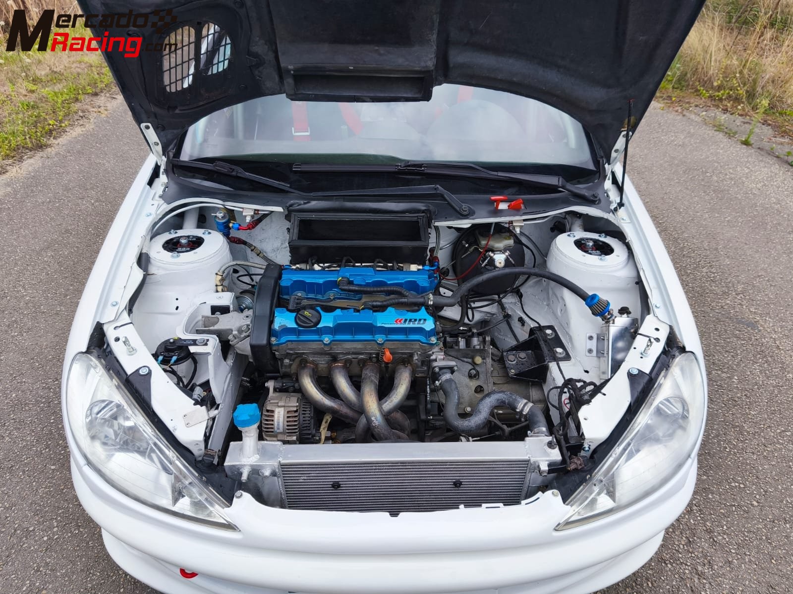 Peugeot 206 xs. (papillones 189 cv.)