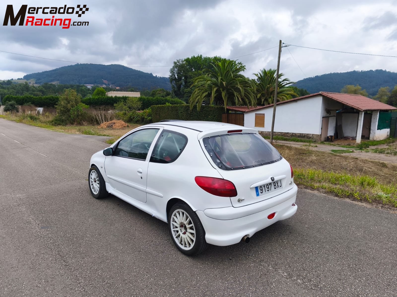 Peugeot 206 xs. (papillones 189 cv.)
