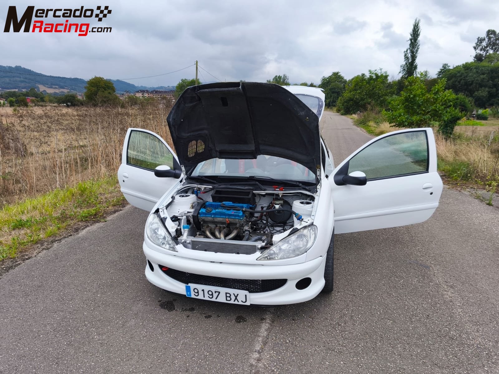 Peugeot 206 xs. (papillones 189 cv.)