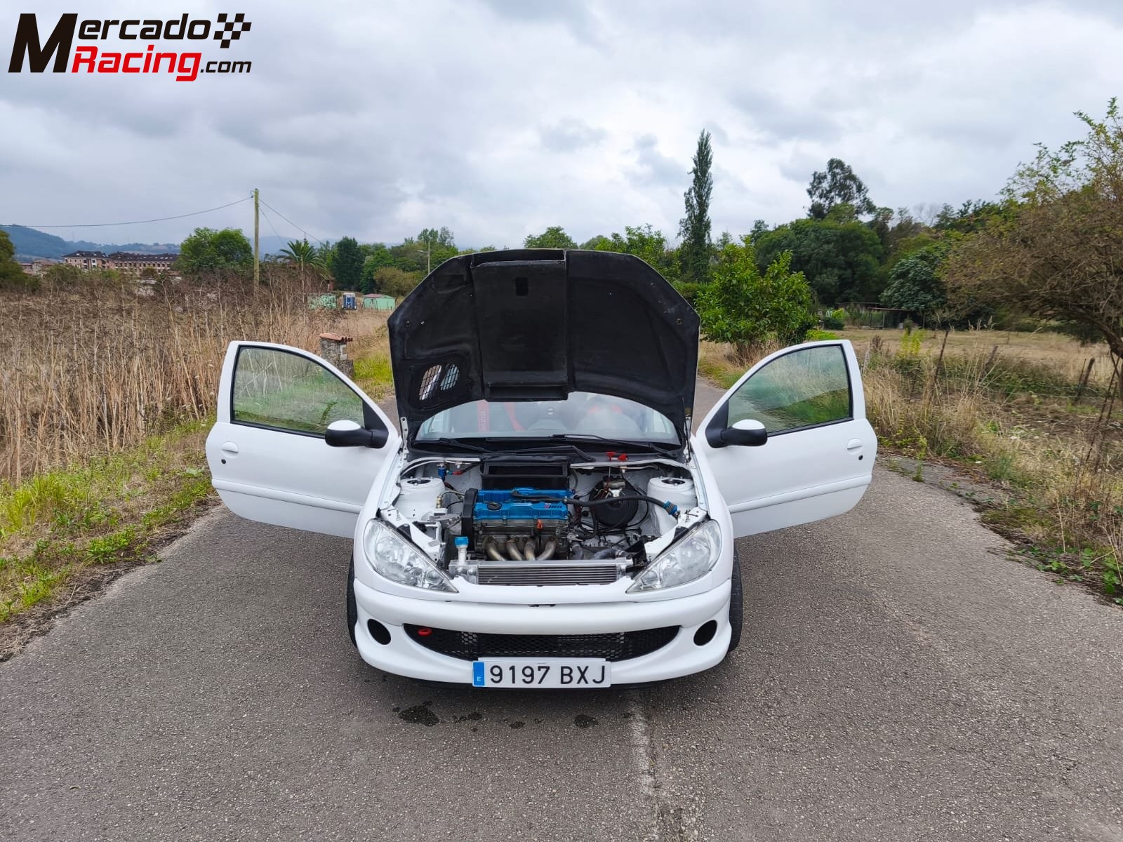 Peugeot 206 xs. (papillones 189 cv.)