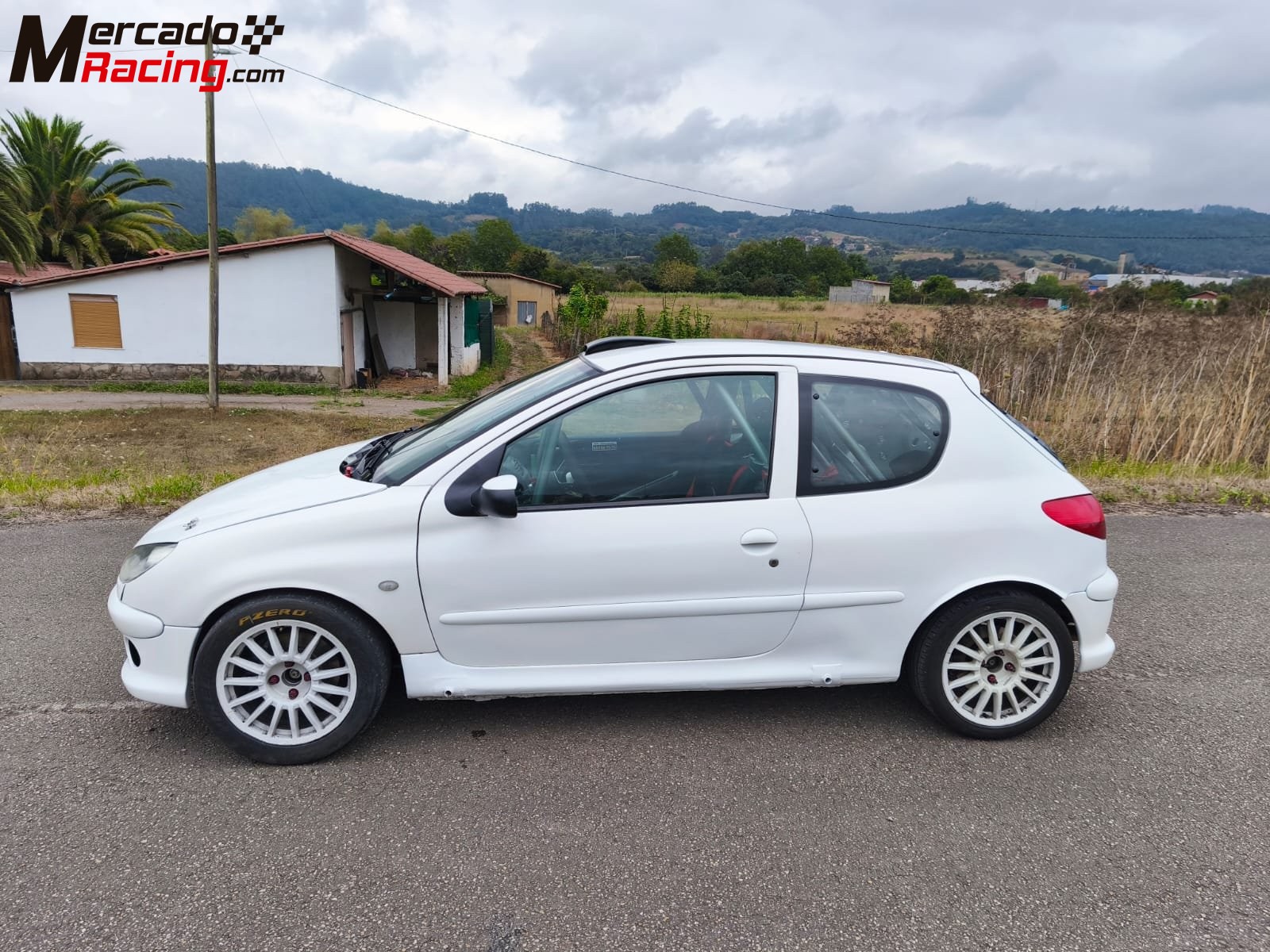 Peugeot 206 xs. (papillones 189 cv.)