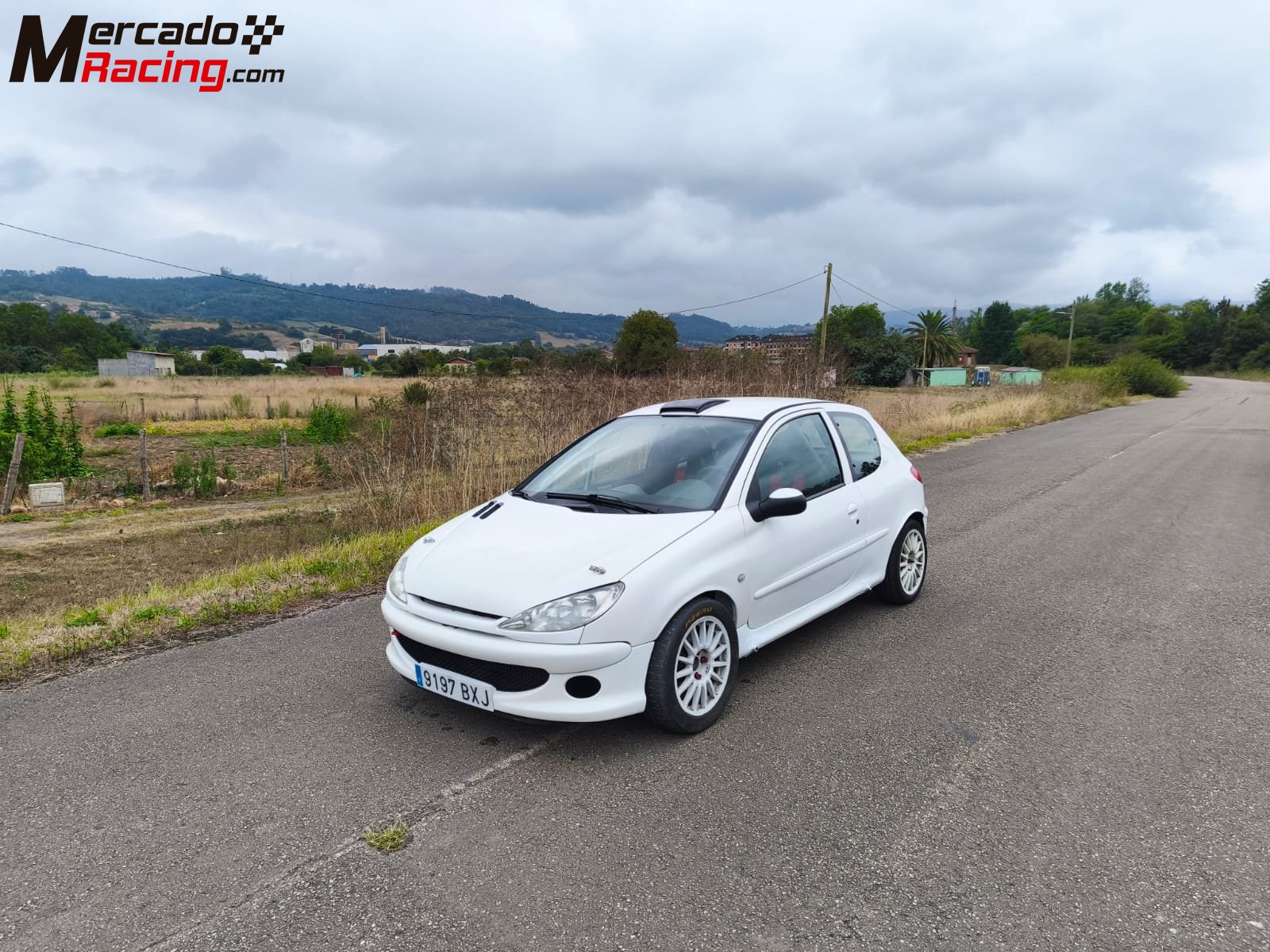 Peugeot 206 xs. (papillones 189 cv.)