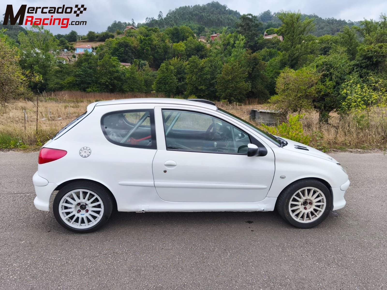 Peugeot 206 xs. (papillones 189 cv.)