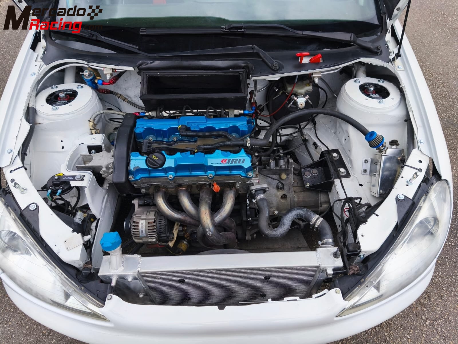 Peugeot 206 xs. (papillones 189 cv.)