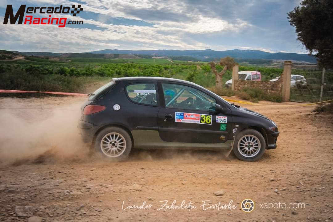 Peugeot 206 xs euskal kopa