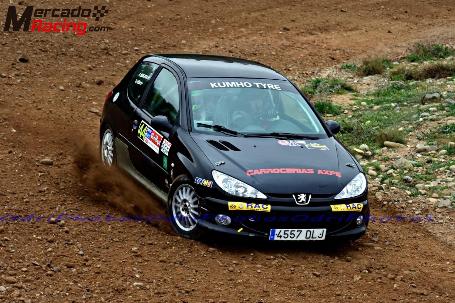 Peugeot 206 xs euskal kopa