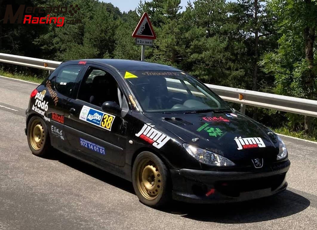 Peugeot 206 gti f2000