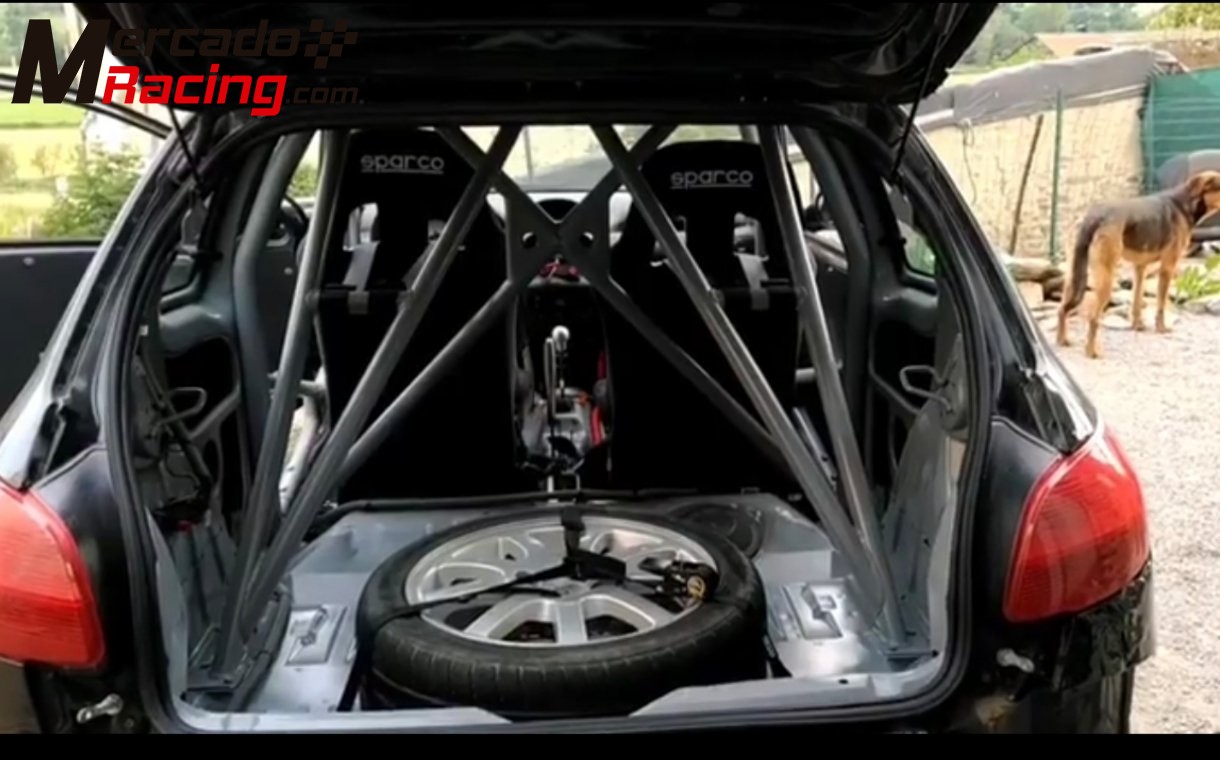 Peugeot 206 gti f2000