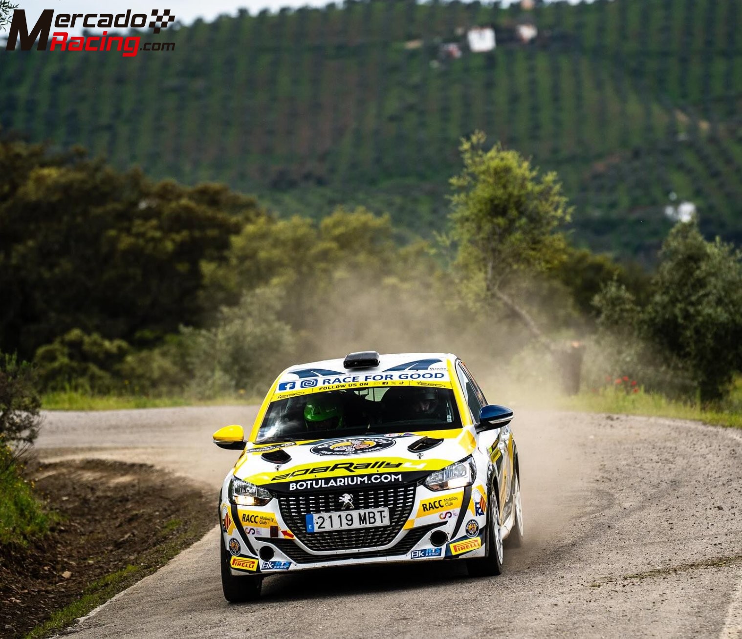 Peugeot 208 rally4