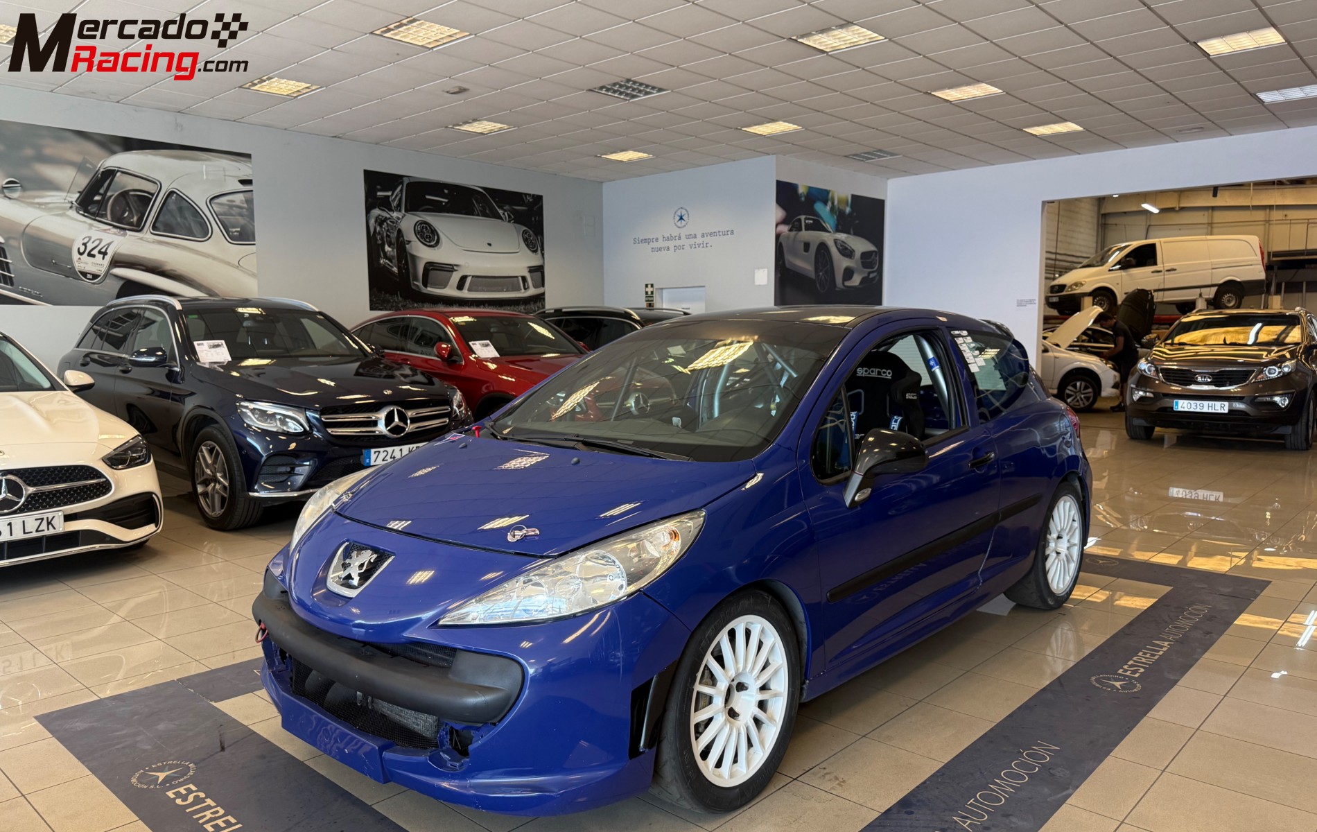 Peugeot 207 lw cup frances