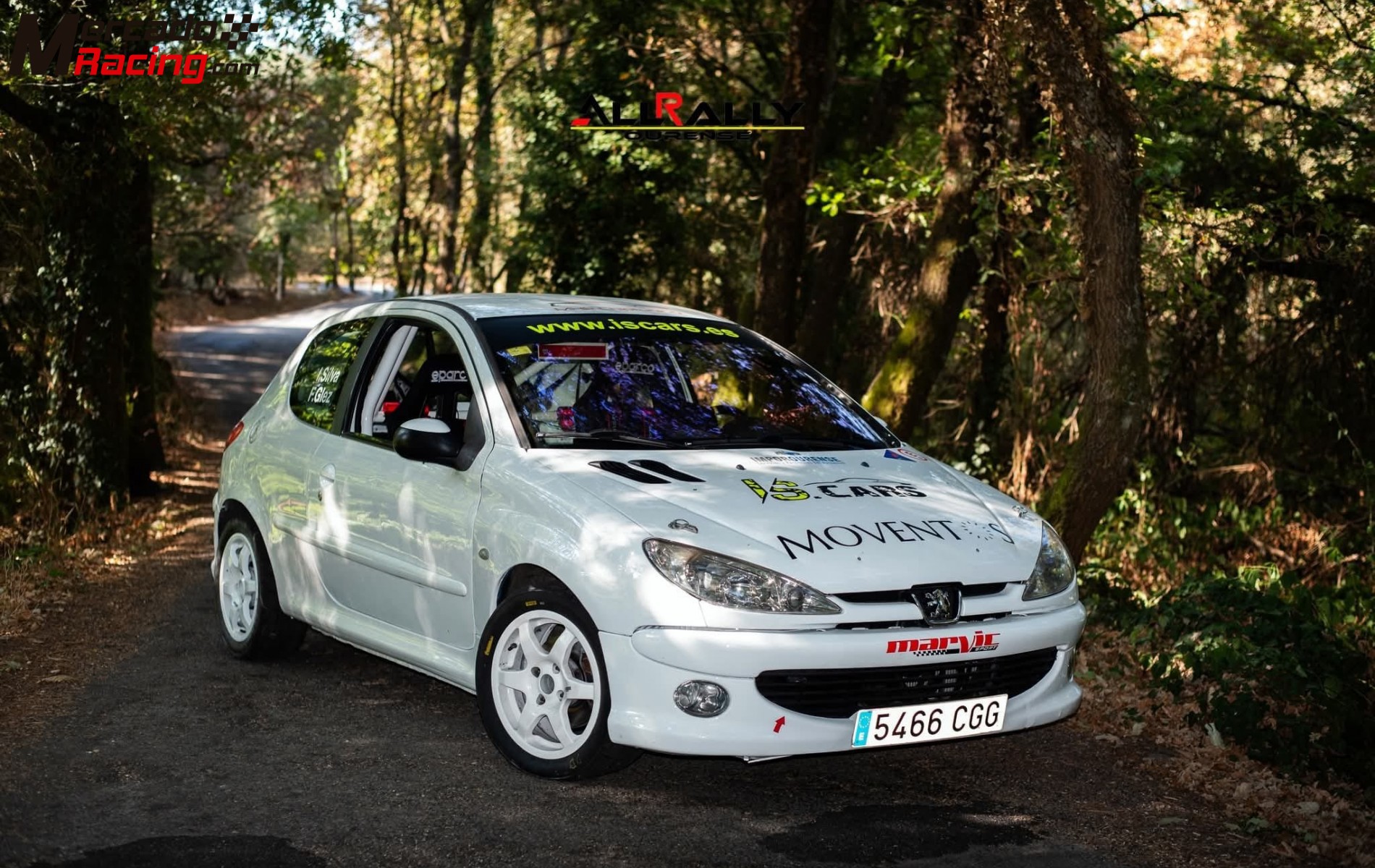 Peugeot 206 xs  