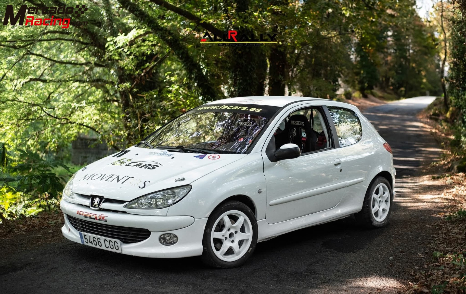 Peugeot 206 xs  