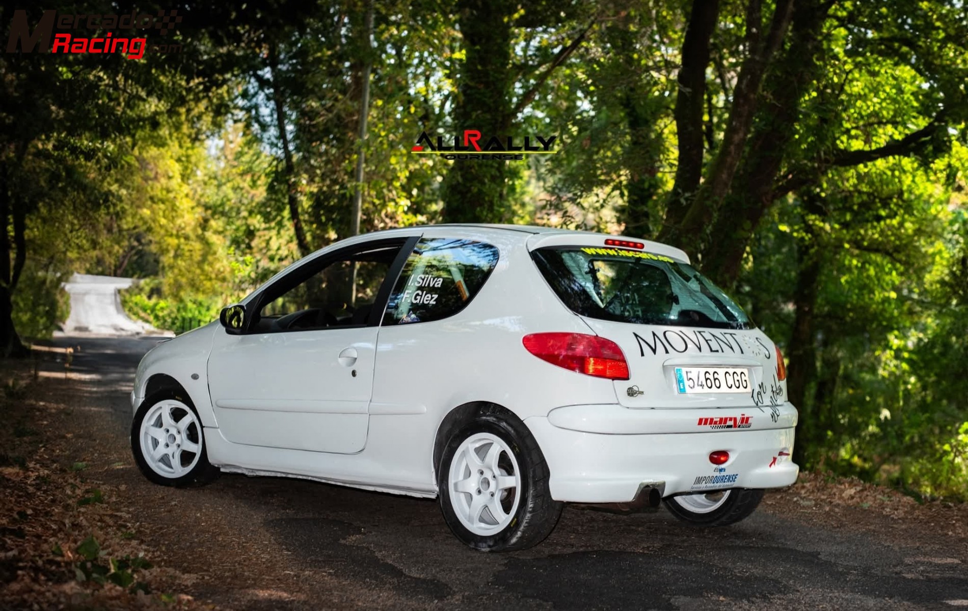 Peugeot 206 xs  