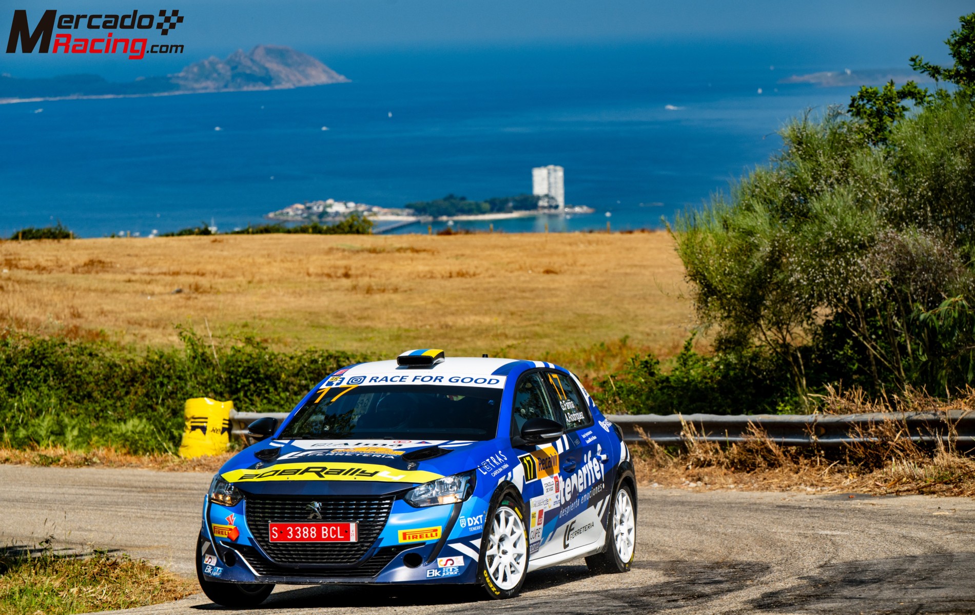 Peugeot 208 rally4 