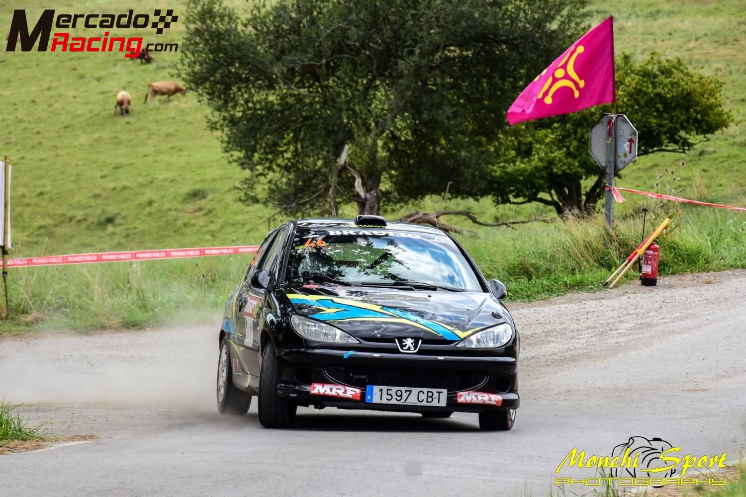 Peugeot 206 rc